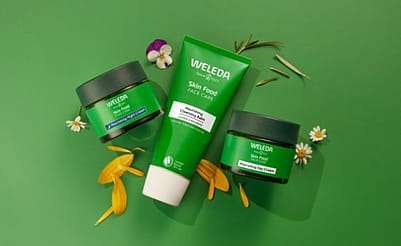 Skin Food Face Range