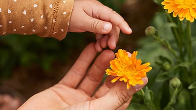 haende von mutter und kind