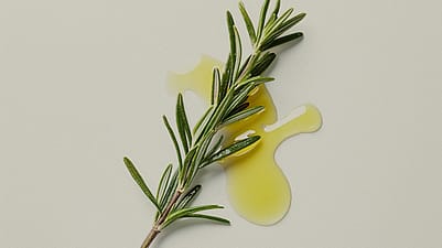 Rosmarin Zweig mit Öl im Hintergrund