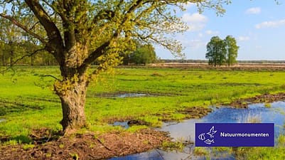 Nieuwe bomen Natuurmonumenten