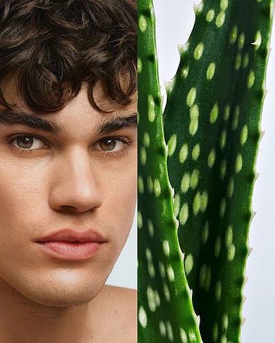 Imagen dividida: a la izquierda, primer plano de un hombre; a la derecha, hojas de aloe vera