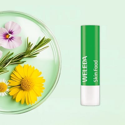 Ingredientes del nuevo Skin Food Lip Stick