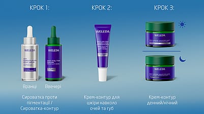 рутина