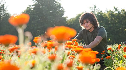 Gardener in our Calendula field in Germany
