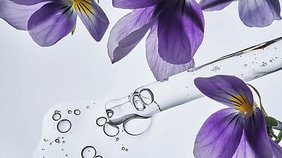 Viola tricolor Bluetenblaetter und eine Pipette