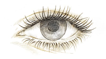 Illustration eines gesunden Auges und eines Auges mit Gerstenkorn