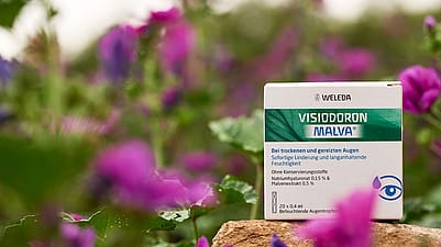 Packung Visicioron Malva