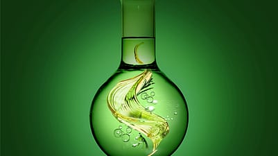 Die Skin Food Phyto-Infusion