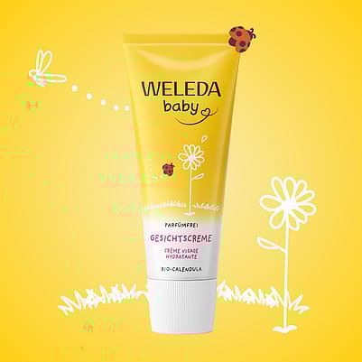 Calendula Crème Visage sans parfum
