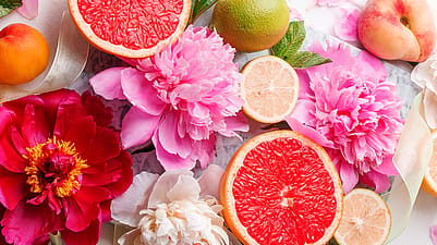 Fruechte und Blumen