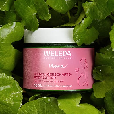 Ingredients Body Butter