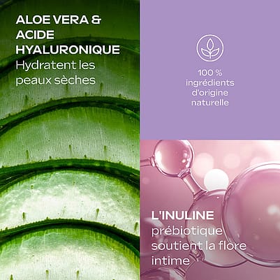 feuilles d'aloe vera