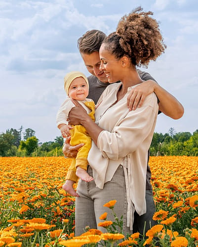 Father, mother and baby in calendula field