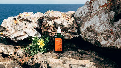 Arnica Massage Oil