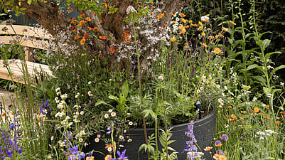 RHS Chelsea Flower Show feature stand