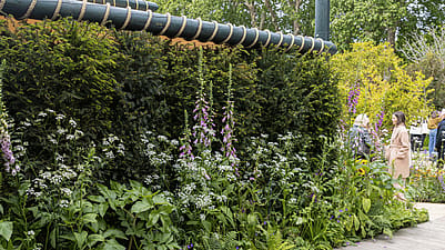RHS Chelsea Flower Show feature stand
