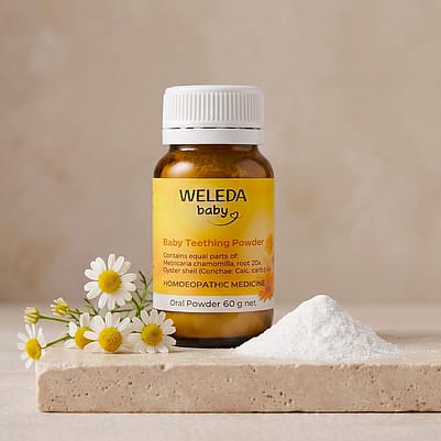 A bottle of Weleda Baby Teething Powder is displayed on a stone surface next to a small pile of white powder and several chamomile flowers. The label on the bottle highlights its homeopathic ingredients and60g net weight.