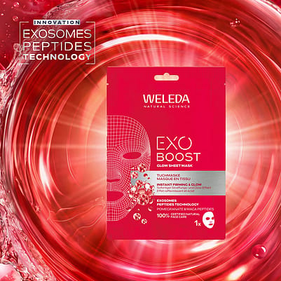 Exo Boost Sheet Mask