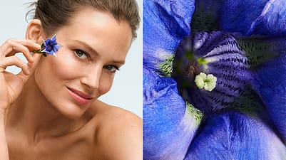 On the left a woman with a gentian flower, on the right a close-up of the gentian flower