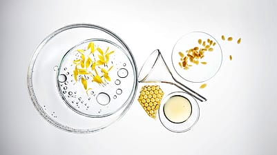 Close-up of ingredients