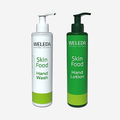 Skin Food gift with purchase