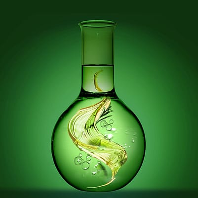 Skin Food Phyto Infusion