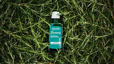 Weleda Rosmarin Haar Tonikum Flasche in einem Bett aus Rosmarin-Zweigen