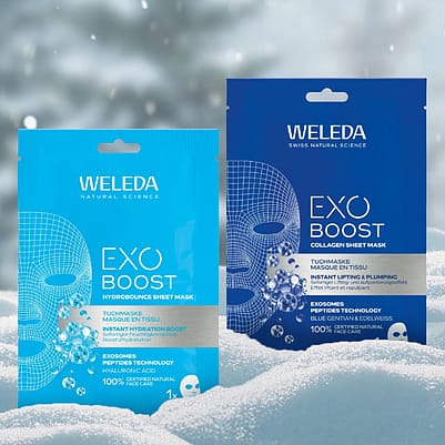 Exo Boost Sheet Masks
