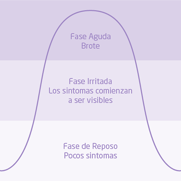 grafico con las fases de la piel atopica del bebe