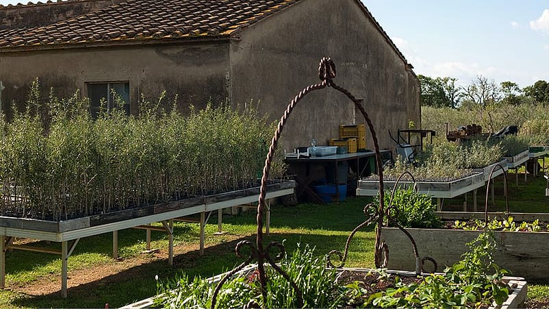 Esterno di una casa in campagna tra coltivazioni e ceste per la raccolta