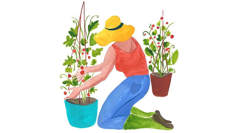 Disegno di donna mentre fa giardinaggio