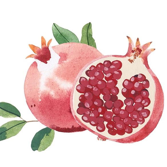 imagen de granada para crema facial