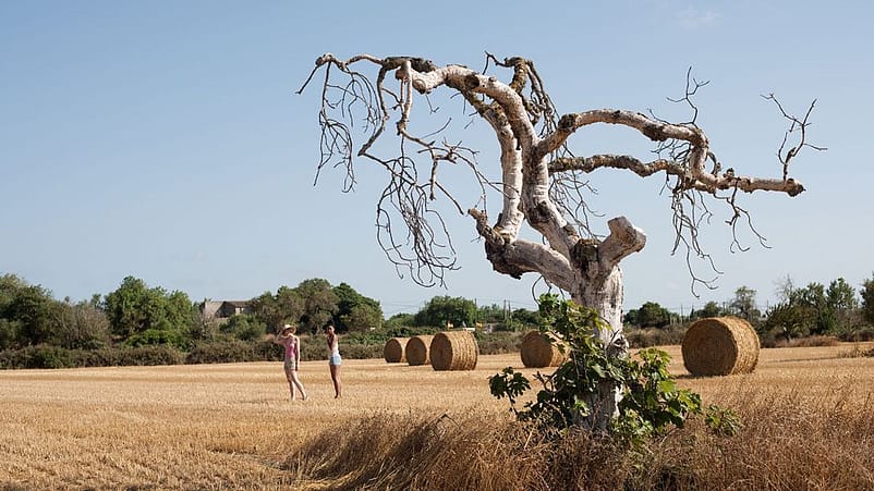 Två kvinnor på ett torrt fält