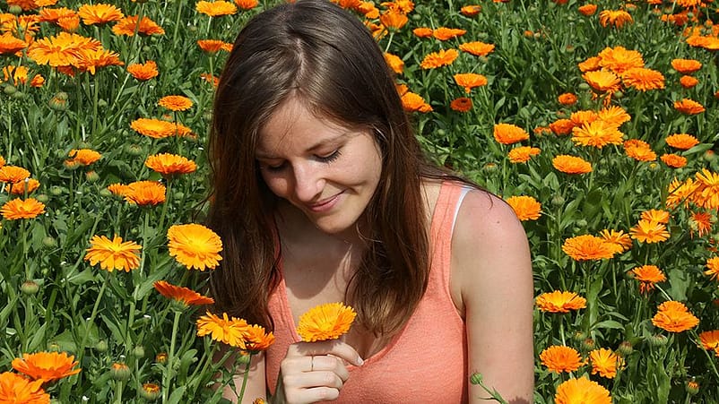 femme dans un champ de calendula