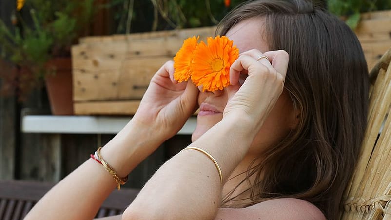 les pouvoirs du calendula