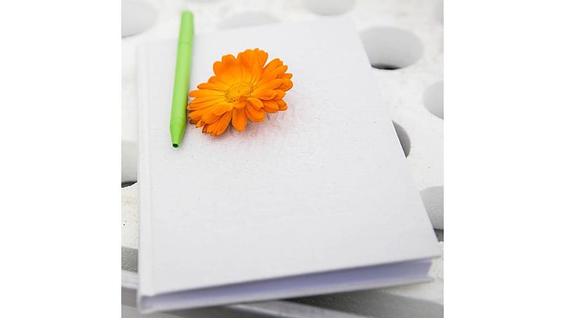 fleur de calendula sur un carnet