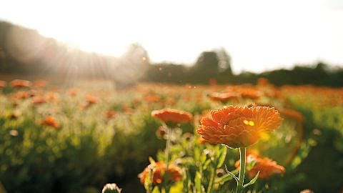 hardlopen op de rotsen