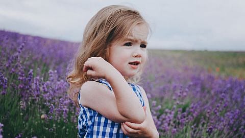 niña en un campo de lavanda