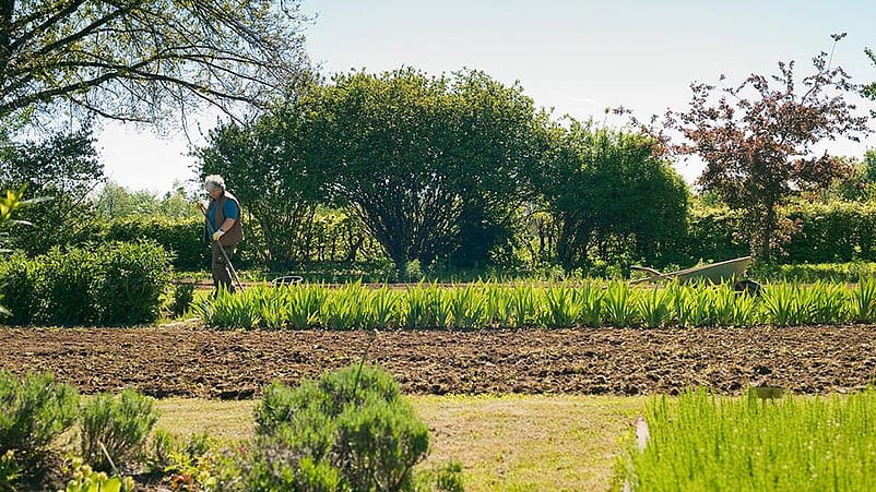 Un uomo cammina vicino ad un campo coltivato