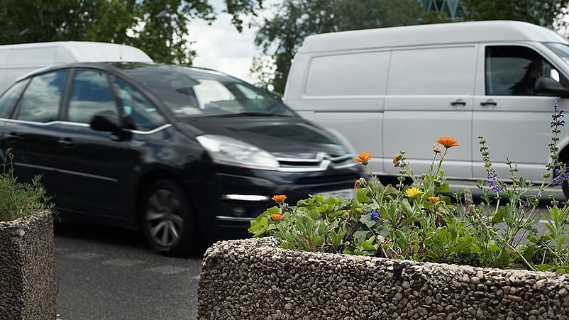 In primo piano un aiuola di fiori in secondo delle macchine in corsa