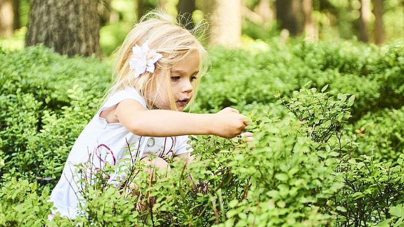 niña jugando entre plantas