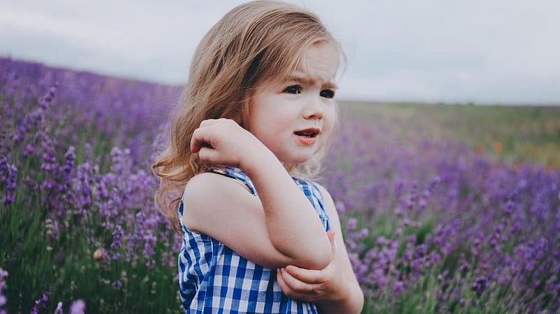 niña en un campo de lavanda