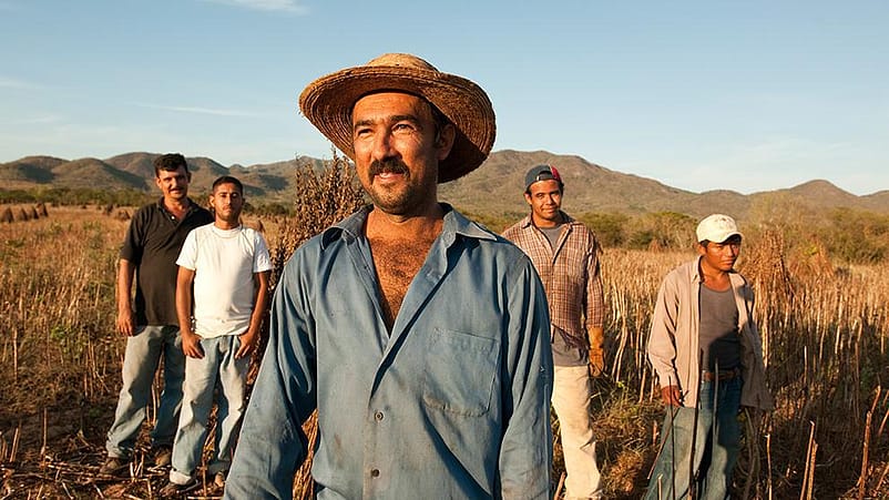grupo de agricultores en el campo