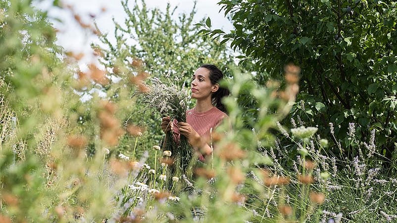 Femme avec de la lavande dans les mains dans un champ de lavande