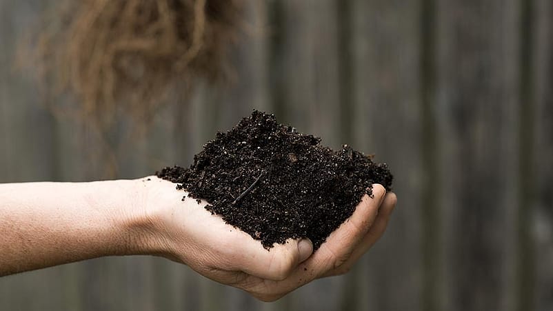 soil in hand