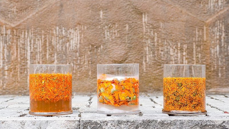 calendula in jars