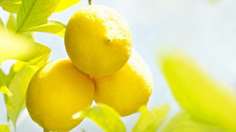 limones
