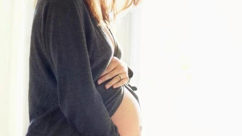 calendario de embarazo