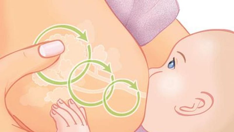 illustration de la tétée