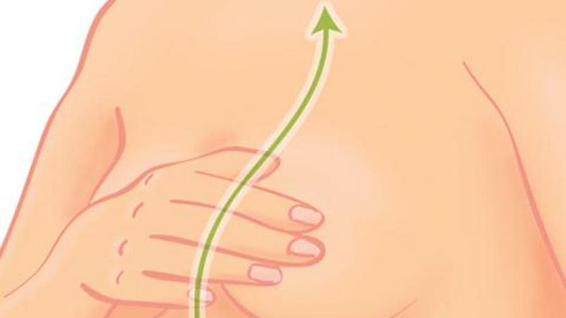 illustration massage du sein